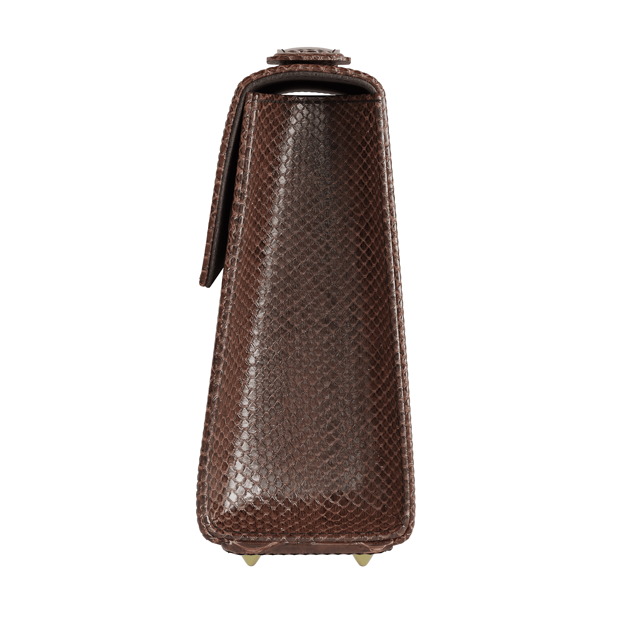 Brown Python Box Bag - Zelli Handbags